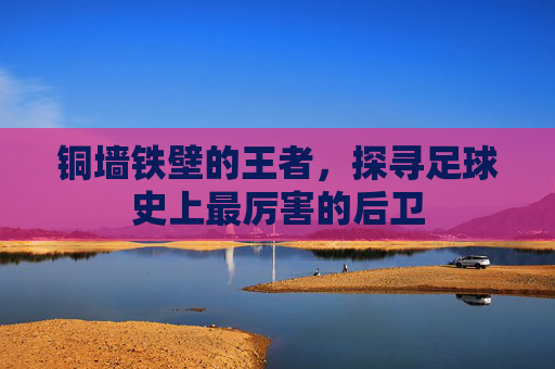 铜墙铁壁的王者,探寻足球史上最厉害的后卫