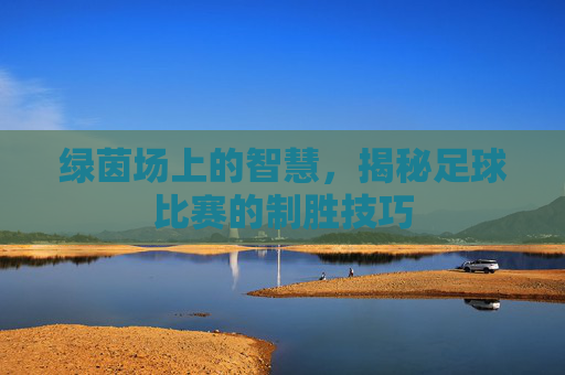 绿茵场上的智慧,揭秘足球比赛的制胜技巧