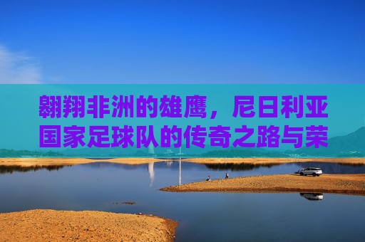 翱翔非洲的雄鹰,尼日利亚国家足球队的传奇之路与荣耀时刻