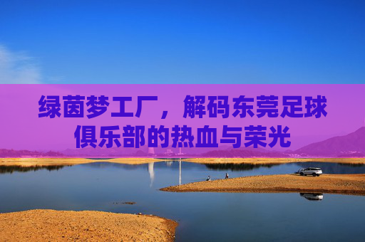 绿茵梦工厂,解码东莞足球俱乐部的热血与荣光