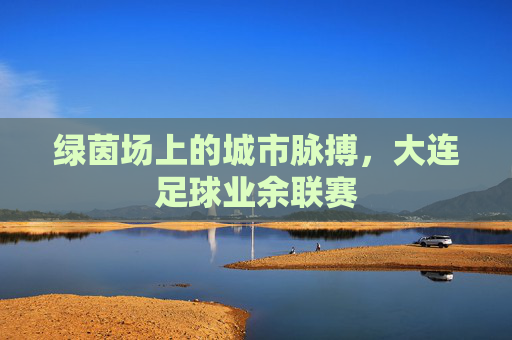绿茵场上的城市脉搏,大连足球业余联赛