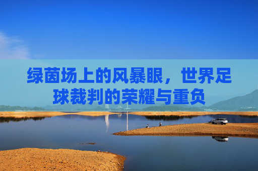 绿茵场上的风暴眼,世界足球裁判的荣耀与重负