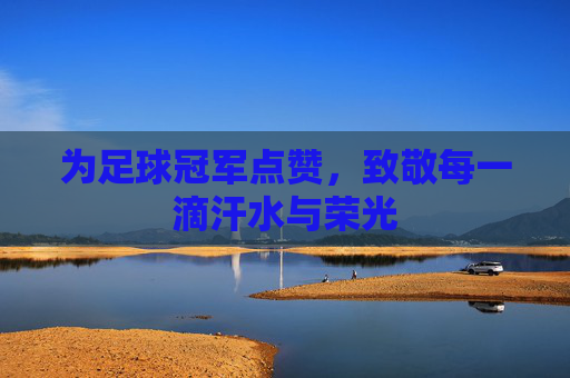 为足球冠军点赞,致敬每一滴汗水与荣光