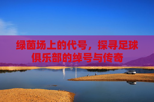 绿茵场上的代号，探寻足球俱乐部的绰号与传奇