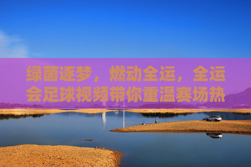 绿茵逐梦,燃动全运,全运会足球视频带你重温赛场热血与感动
