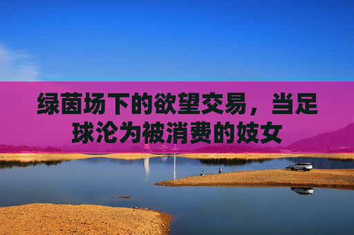 绿茵场下的欲望交易,当足球沦为被消费的妓女