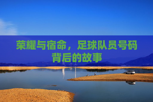 荣耀与宿命，足球队员号码背后的故事