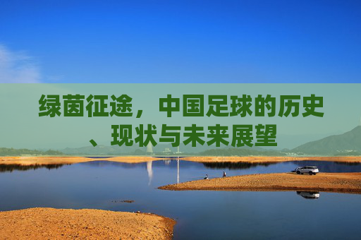 绿茵征途，中国足球的历史、现状与未来展望