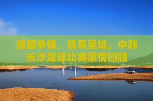 绿茵争锋,情系星城,中韩长沙足球比赛激情回顾