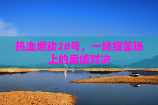热血燃动28号,一场绿茵场上的巅峰对决
