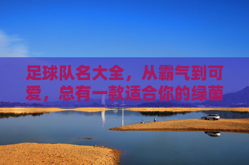 足球队名大全,从霸气到可爱,总有一款适合你的绿茵梦想