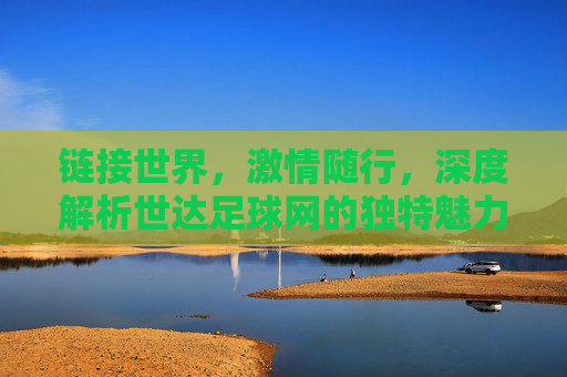 链接世界,激情随行,深度解析世达足球网的独特魅力
