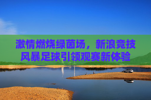 激情燃烧绿茵场,新浪竞技风暴足球引领观赛新体验