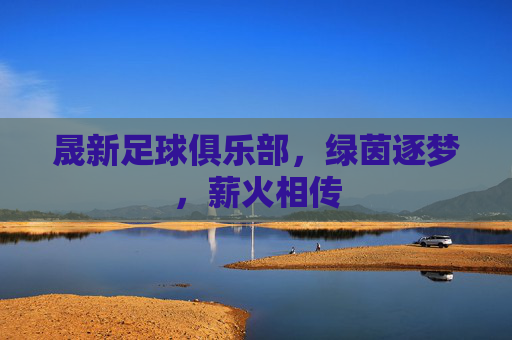 晟新足球俱乐部,绿茵逐梦,薪火相传