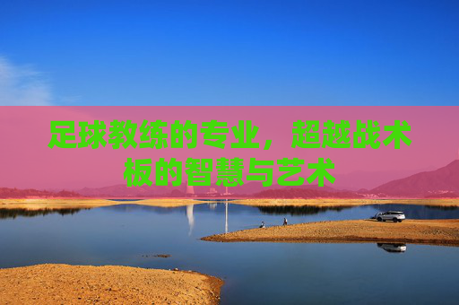 足球教练的专业,超越战术板的智慧与艺术