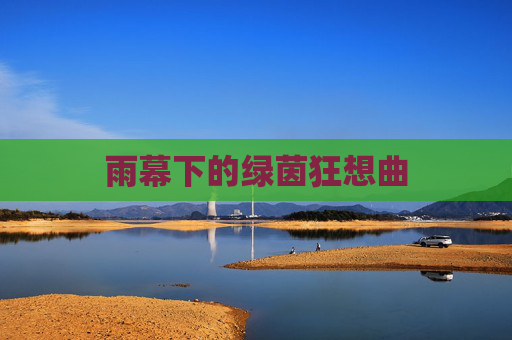 雨幕下的绿茵狂想曲