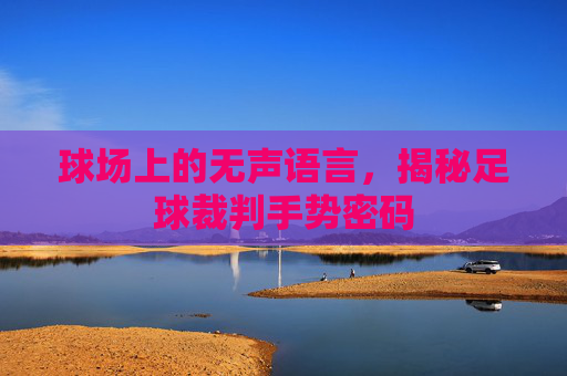 球场上的无声语言，揭秘足球裁判手势密码