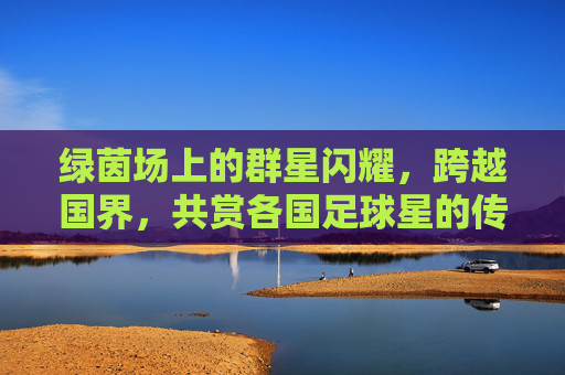 绿茵场上的群星闪耀，跨越国界，共赏各国足球星的传奇风采