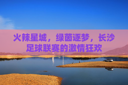 火辣星城,绿茵逐梦,长沙足球联赛的激情狂欢