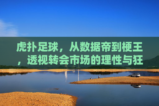 虎扑足球,从数据帝到梗王,透视转会市场的理性与狂欢