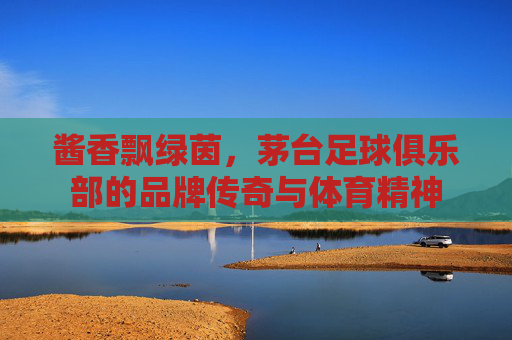 酱香飘绿茵,茅台足球俱乐部的品牌传奇与体育精神