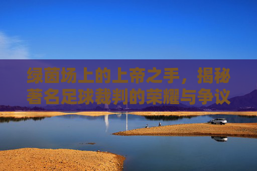 绿茵场上的上帝之手,揭秘著名足球裁判的荣耀与争议