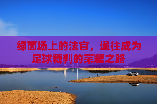 绿茵场上的法官,通往成为足球裁判的荣耀之路