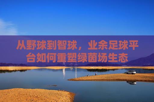 从野球到智球,业余足球平台如何重塑绿茵场生态