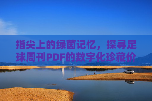 指尖上的绿茵记忆,探寻足球周刊PDF的数字化珍藏价值