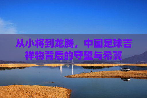 从小将到龙腾，中国足球吉祥物背后的守望与希冀