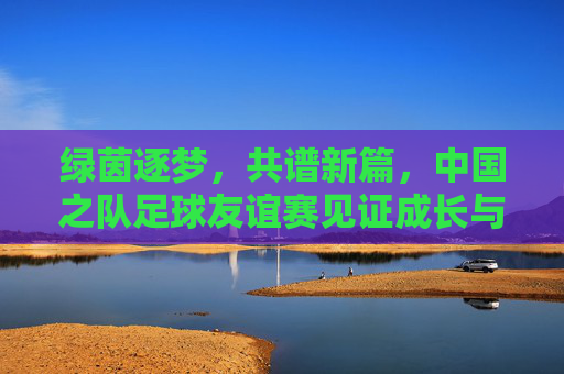 绿茵逐梦,共谱新篇,中国之队足球友谊赛见证成长与突破