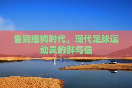告别细狗时代,现代足球运动员的胖与强