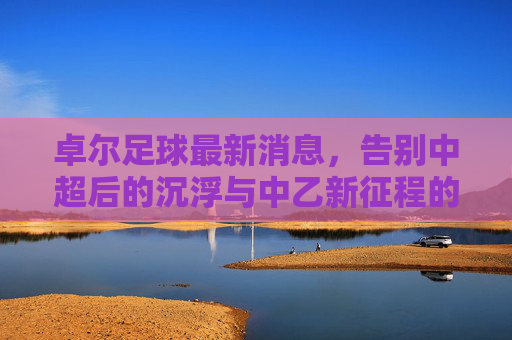 卓尔足球最新消息,告别中超后的沉浮与中乙新征程的挑战