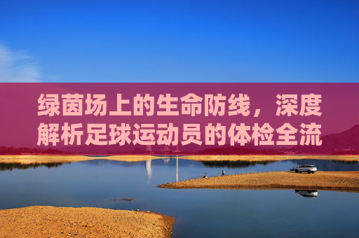 绿茵场上的生命防线,深度解析足球运动员的体检全流程