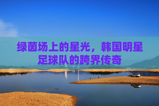 绿茵场上的星光,韩国明星足球队的跨界传奇
