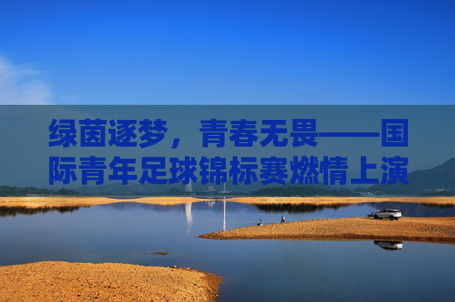绿茵逐梦，青春无畏——国际青年足球锦标赛燃情上演