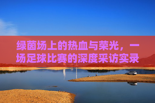 绿茵场上的热血与荣光，一场足球比赛的深度采访实录