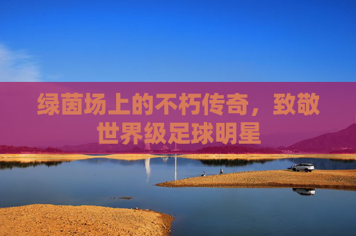 绿茵场上的不朽传奇,致敬世界级足球明星