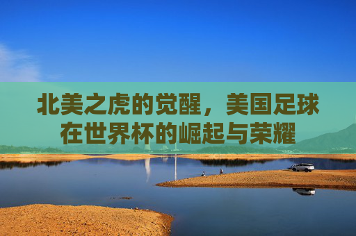 北美之虎的觉醒,美国足球在世界杯的崛起与荣耀