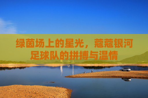 绿茵场上的星光,蔻蔻银河足球队的拼搏与温情