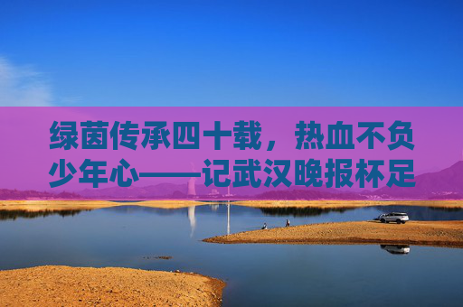 绿茵传承四十载,热血不负少年心——记武汉晚报杯足球赛