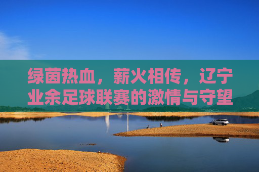 绿茵热血，薪火相传，辽宁业余足球联赛的激情与守望