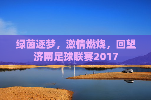 绿茵逐梦,激情燃烧,回望济南足球联赛2017