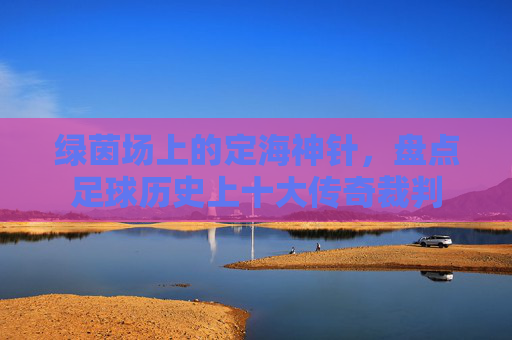 绿茵场上的定海神针,盘点足球历史上十大传奇裁判