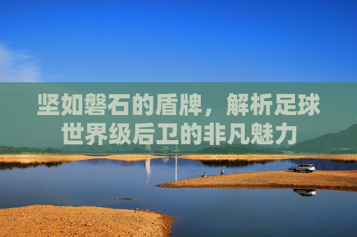 坚如磐石的盾牌,解析足球世界级后卫的非凡魅力