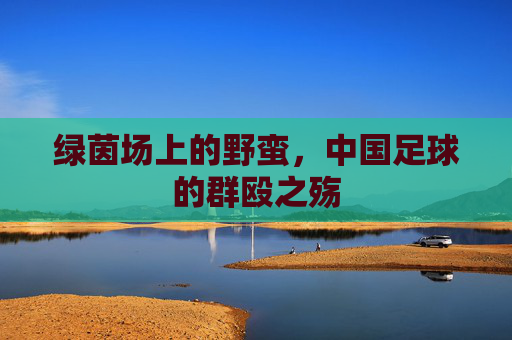 绿茵场上的野蛮,中国足球的群殴之殇