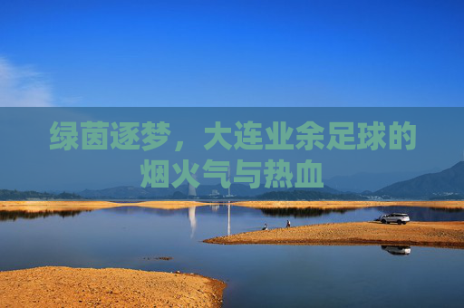 绿茵逐梦,大连业余足球的烟火气与热血
