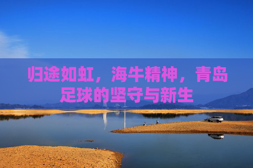 归途如虹,海牛精神,青岛足球的坚守与新生