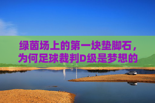 绿茵场上的第一块垫脚石,为何足球裁判D级是梦想的起点