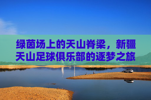 绿茵场上的天山脊梁，新疆天山足球俱乐部的逐梦之旅